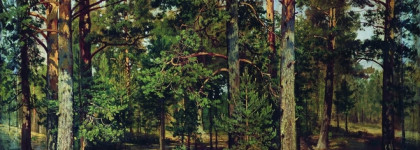 Amigdala Sentimentals, Attila: шипр для любителей классики и необычных "современностей"