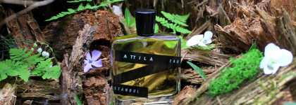 Amigdala Sentimentals, Attila: шипр для любителей классики и необычных "современностей"