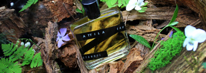 Amigdala Sentimentals, Attila: шипр для любителей классики и необычных "современностей"