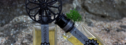 Таинственный Ducalis от Angela Ciampagna. Морской берег, роза, уд