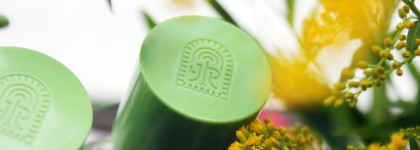 Le Jardin Retrouve, Jasmin Majorelle – все белые цветы в одном "букете"