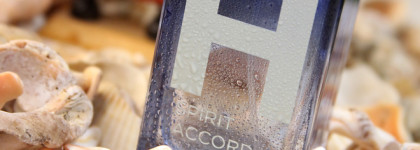 Henderson, Spirit Accord: универсальный, стильный, доступный