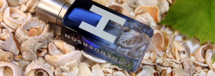 Henderson, Spirit Accord: универсальный, стильный, доступный