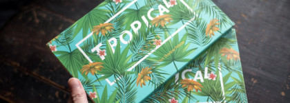 Яркая тропическая феерия! Буйство цветов для экспериментов с Docolor Tropical 34 Color Shadow Palette