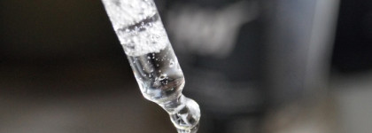 Сыворотка Bielenda с зелёным чаем и миндальной кислотой Zielona Herbata, которая подсадила меня на многослойный уход