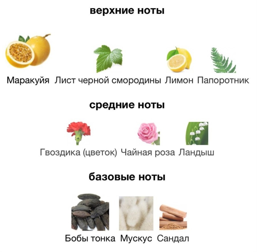 Пирамида аромата