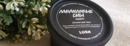 Букет цветущей лаванды в баночке. Лосьон для тела от Lush "Лавандовые сны"