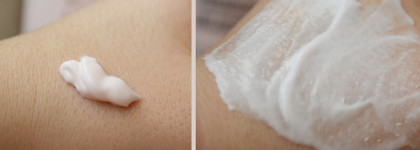 Знакомство с уходом Lancaster