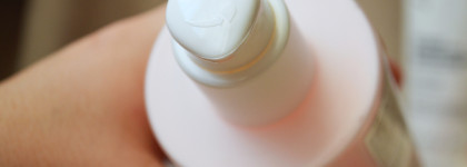 Знакомство с уходом Lancaster