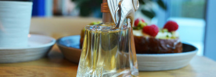 Kenzo Jungle L'Elephant