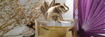 Девять ароматов для этой осени