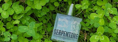 Парфюмерный арт-объект - Serpentine от Comme Des Garçons