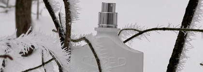 Зимний воздух во флаконе: Silver Mountain Water от Creed