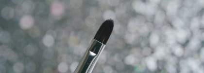 Исчезнувший вид: коллекция Lip Tar от OCC