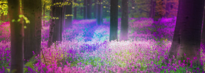 Незабываемый Escada Magnetism