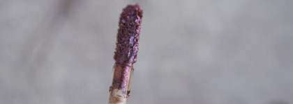 Расколотые бриллианты: топперы Lime Crime Diamond Crushers Summer, Unicorn, Gemini