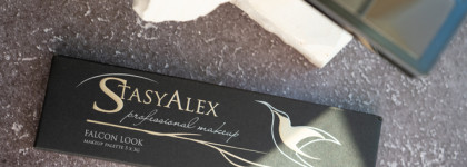 Неожиданно лучшая палетка в 2024 году: Stacy Alex E36 Falcon Look