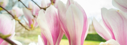 Toy 2 Moschino. Шипучая газировка "Буратино" из детства