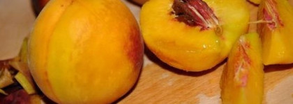 L'Extase Nina Ricci. Девушка в чёрном чокере