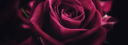 Volare Oriflame. Будуар ночной бабочки из средневекового Парижа