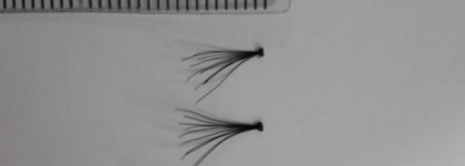 Длинные реснички? Вам к Catrice! Накладные ресницы в пучках - Single Lashes