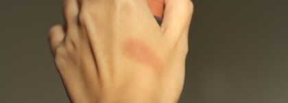 Старый добрый друг. Очень осенние румяна Bourjois blush в оттенке 85 sienne 