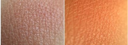 Старый добрый друг. Очень осенние румяна Bourjois blush в оттенке 85 sienne 