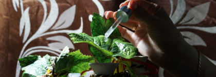 Сыворотка It's Skin Power 10 Formula VC Effector – мое спасение от покраснений