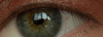 MAC Little Mac Pigment в оттенке Blue Brown