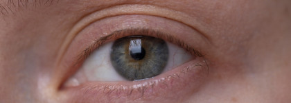 Тауповый кашемир. Когда хочется выразительности, но мягкой