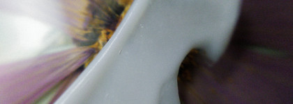 5 самых ходовых масок для лица. То, что я постоянно использую и почему