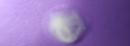 Невская косметика, женьшеневый крем для глаз - плюсы, минусы, мнения