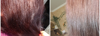 Shampoo Rituals the Ritual Of Sakura "Volume & Nutrition"