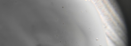 Привет, Миксит. Что у тебя нового?