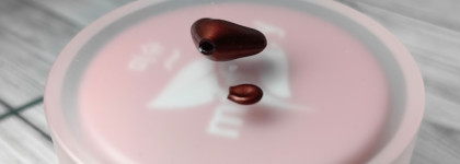 Знакомство с брендом Mishipy