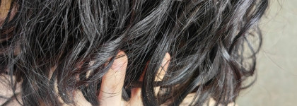 Самое лучшее укладочное средство, которое я знаю. Прелесть BIO жизненная сила, стайлинг и уход с экстрактом зелёного чая