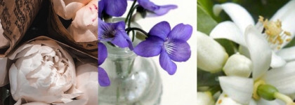 Аромат моих грузинских приключений. Byredo Blanche