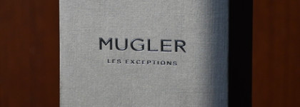 Ни день ни ночь, ни мрак ни свет. Mugler les exception Fougère Furieuse EDP и картина М. Врубеля «Демон сидящий»
