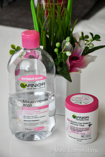 Двое из ларца - одинаковы с лица? Средства для снятия макияжа от Garnier
