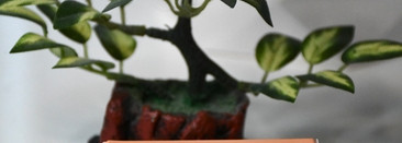 Эй, вы где? Румяна Rom&nd Better Than Cheek 01 Peach Chip