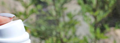 Термальная вода VICHY минерализирующая