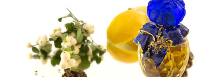 Парфюмерные флаконы как искусство. Мой личный топ-10 