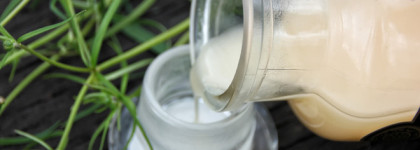 Natura Siberica. Избранное