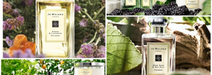 Подборка одеколонов. Часть 2: ниша