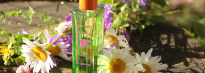 Подборка одеколонов. Часть 2: ниша