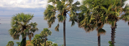 Guerlain Aqua Allegoria Coconut Fizz: потерян, но не забыт! Тайские очерки