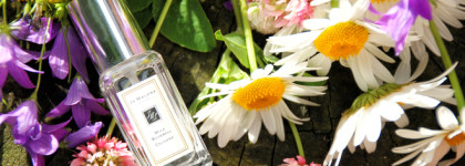 Показываю свою коллекцию одеколонов. Часть первая: Jo Malone London