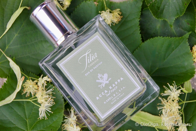 Tilia Cordata Acca Kappa — самая реалистичная для меня липа в парфюмерии