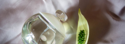 Noa Cacharel - в поисках идеального жасмина