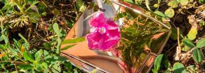 Единственные румяна в моей коллекции, которые я не забываю: Hourglass Ambient Lighting Blush Diffused Heat